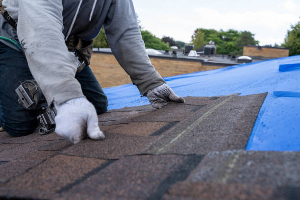 Roof Waterproofing Services in Park River, ND