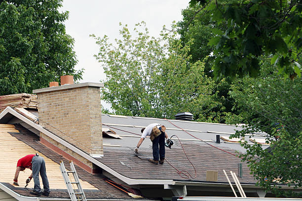 Best Commercial Roofing Services  in Park River, ND