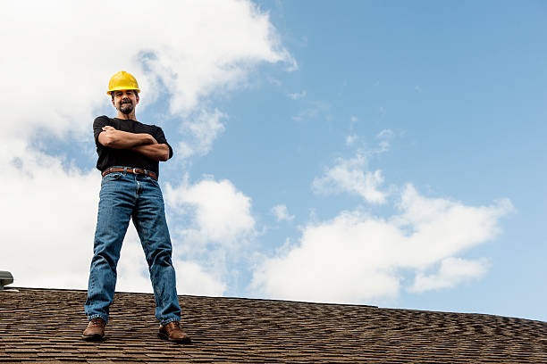 Best Emergency Roof Repair  in Park River, ND
