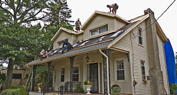 Best Local Roofing Companies  in Park River, ND