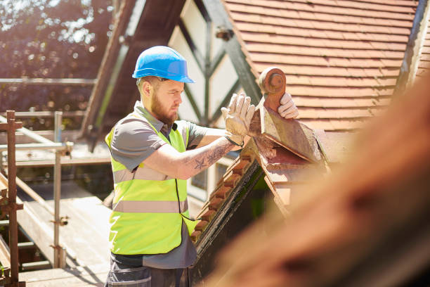 Best Roof Gutter Cleaning  in Park River, ND