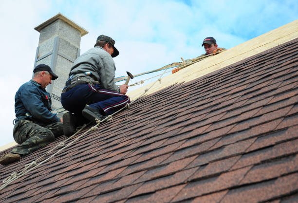 Best Roof Maintenance Services  in Park River, ND